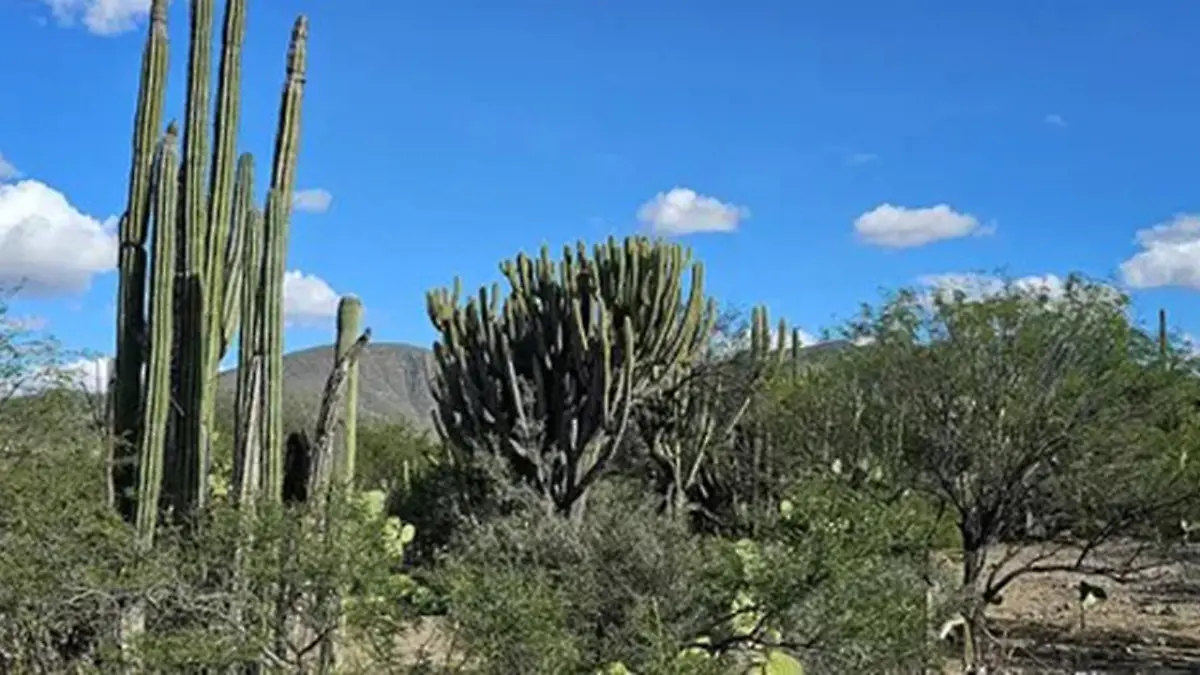 La reserva de la Biosfera ofrece una aventura diferente